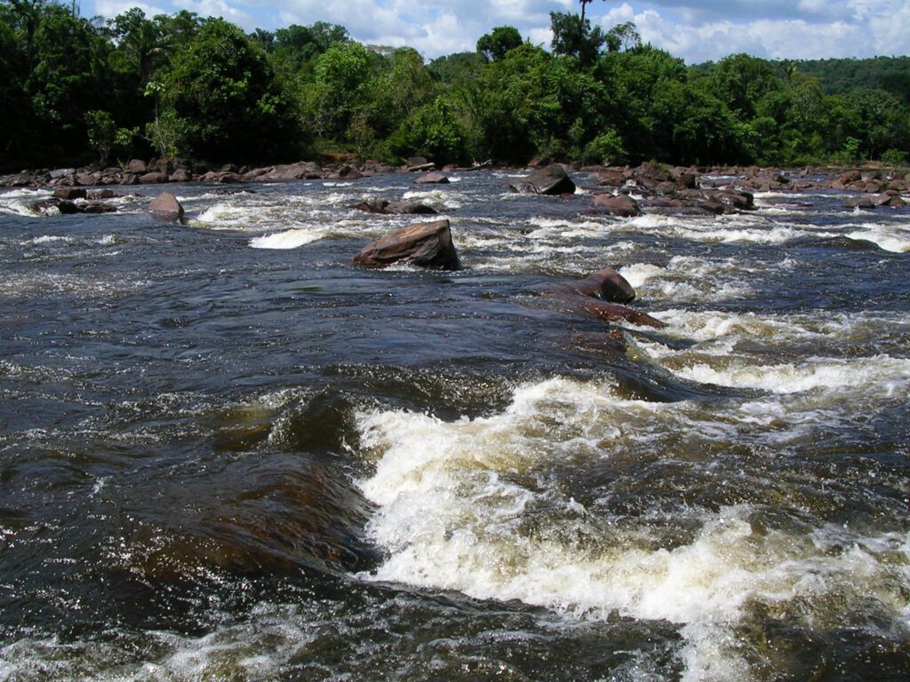 Pesquisa apoiada pelo Governo do Amazonas analisa a diversidade geográfica e epidemiológica de inseto da região 3 FAPEAM pesquisa sobre pium FOTO NEUSA HAMADA 2 1024x768 1