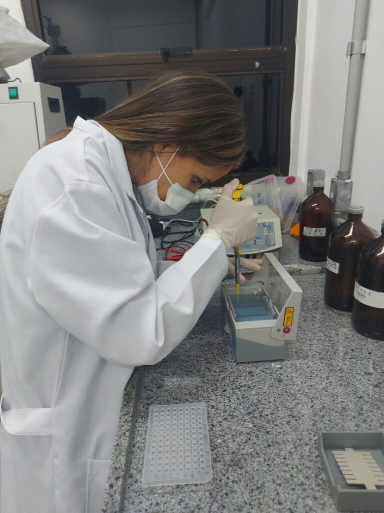 Pesquisa apoiada pelo Governo do Amazonas analisa a diversidade geográfica e epidemiológica de inseto da região 2 FAPEAM pesquisa sobre pium FOTO NEUSA HAMADA 3 768x1024 1