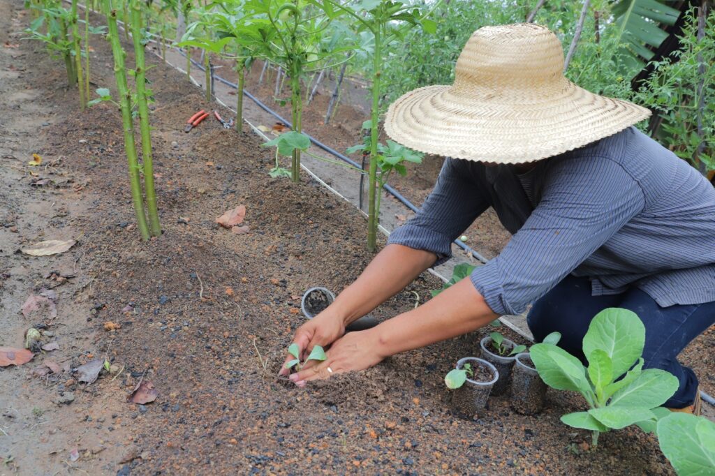 Governo do Amazonas investe em práticas de conservação do solo para aumento da produção rural de forma sustentável 4 Foto Sepror Dia Nacional da Conservacao do Solo 01 1024x682 1