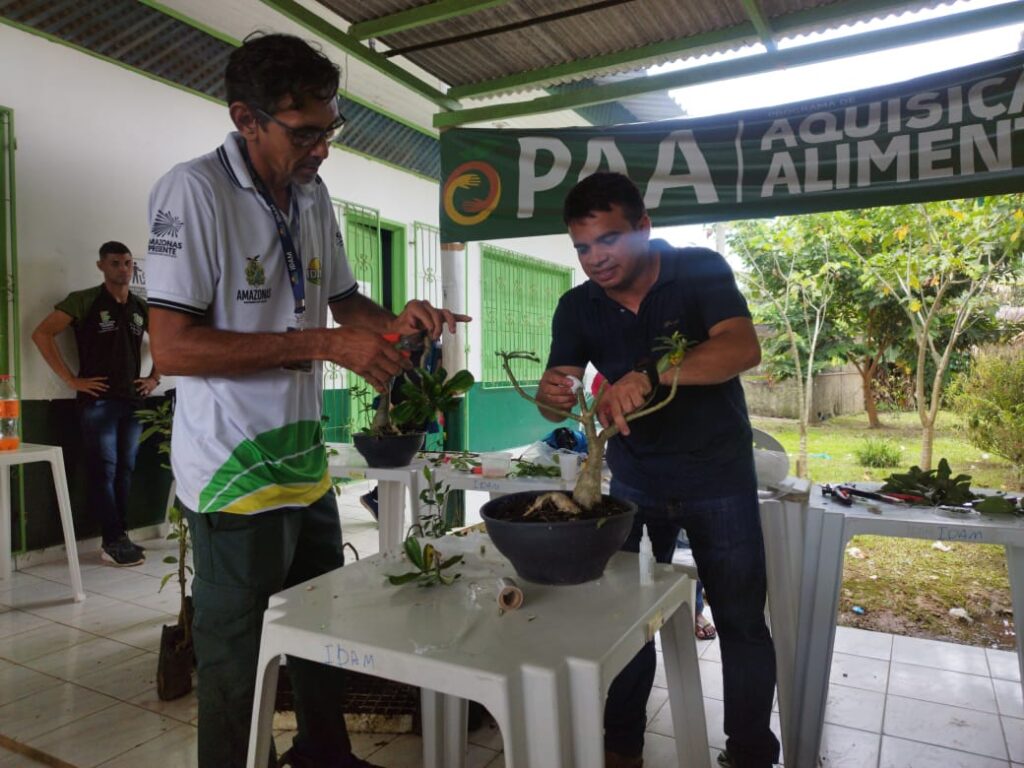 Em Eirunepé, Idam capacita agricultores familiares em boas práticas de Propagação Vegetativa 4 Idam capacitacao a agricultores familiares de Eirunepe IDAM Divulgacao 2 1024x768 1