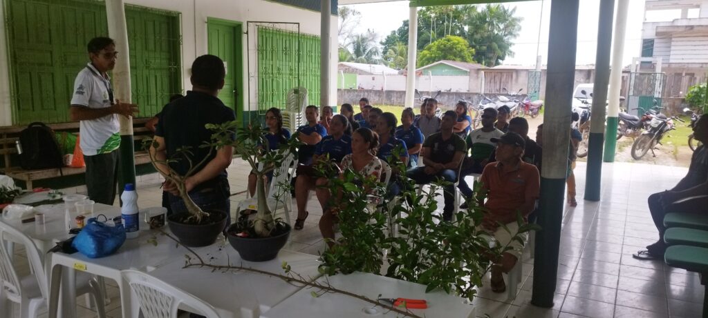 Em Eirunepé, Idam capacita agricultores familiares em boas práticas de Propagação Vegetativa 3 Idam capacitacao a agricultores familiares de Eirunepe IDAM Divulgacao 3 1024x461 1
