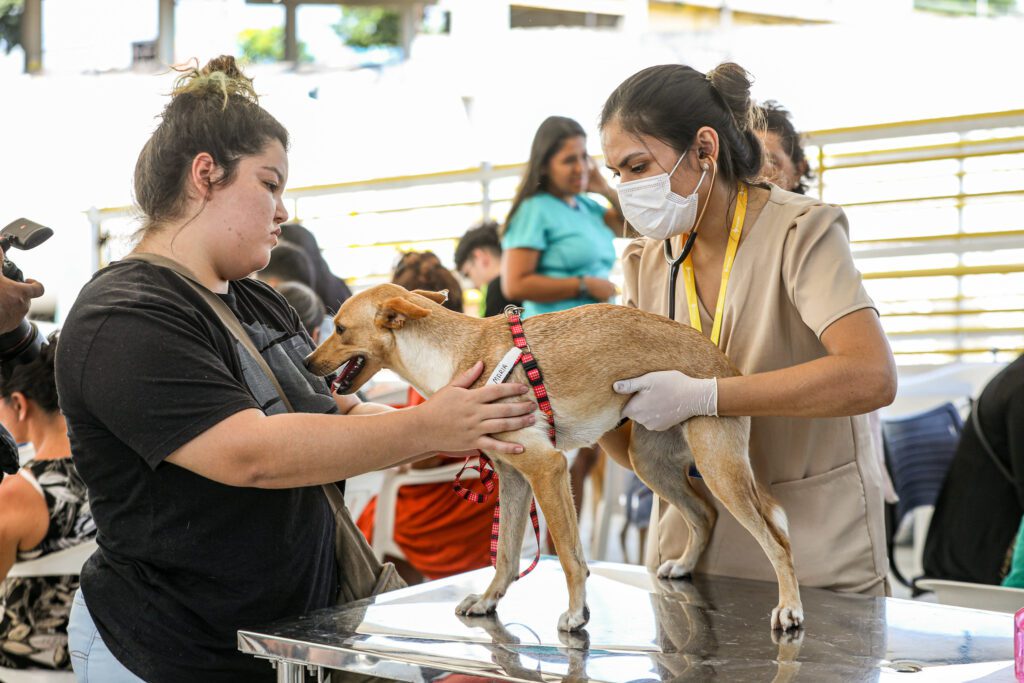 Castramóvel do Governo do Amazonas realiza ação itinerante no shopping ViaNorte, em Manaus 3 MANAUS AM 2024 ATENDIMENTO NO CASTRAMOVEL 2 1024x683 1