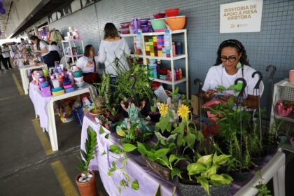 Opcao de compra de presentes e fortalecimento do empreendedorismo no E28098Bazar do Dia das Maes da Aleam Foto Danilo Mello EVslRG
