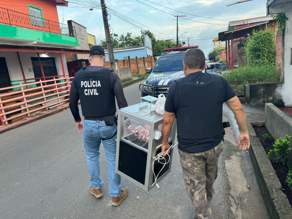 Polícia Civil do Amazonas destaca atuação no interior do Estado no primeiro trimestre deste ano 5 PCAM OPERACOES NO INTERIOR DO AM FOTO ERLON RODRIGUES 1 1024x768 1