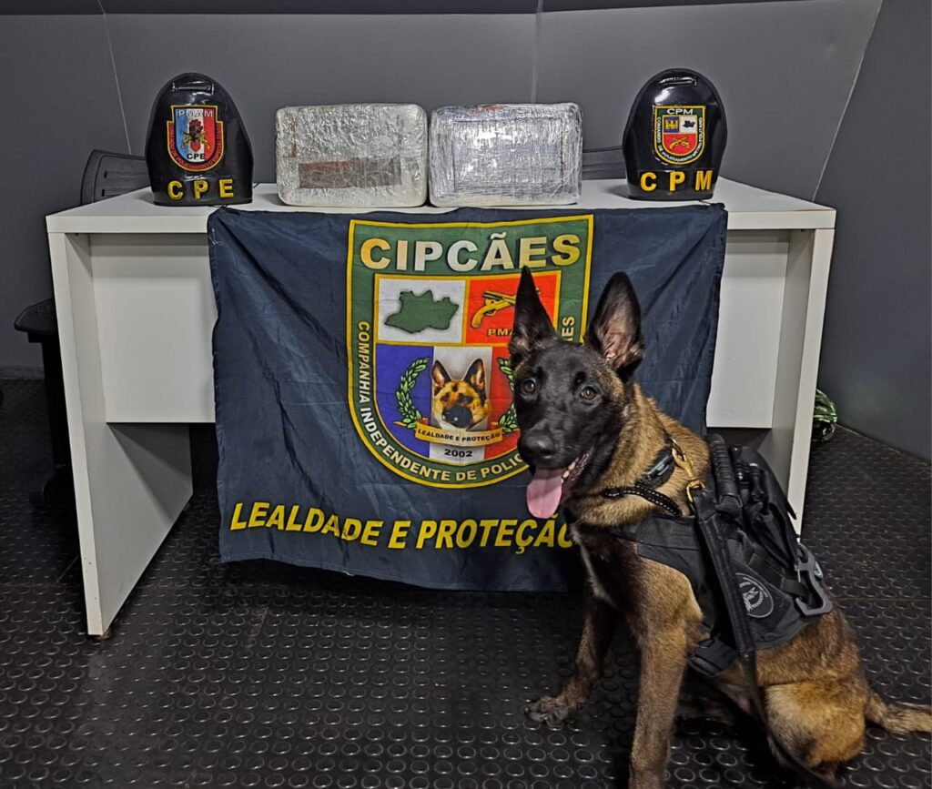 Em 24 horas, ações da Base Arpão 1 e 2 resultam em danos ao crime em mais de R$ 620 mil 2 SSP AM ARPAO2 APREENSAO FOTOS DIVULGACAO SSP AM 1024x867 1