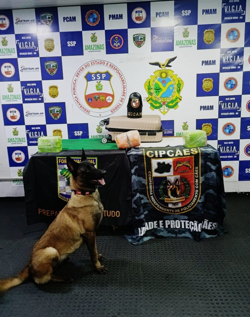 Em 24 horas, ações da Base Arpão 1 e 2 resultam em danos ao crime em mais de R$ 620 mil 3 SSP AM ARPAO2 APREENSAO FOTOS DIVULGACAO SSP AM 809x1024 1