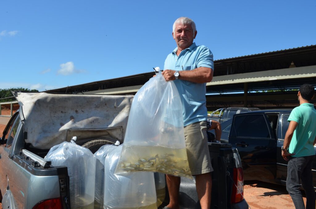 Governo do Amazonas beneficia 622 piscicultores de 18 municípios com pós-larvas e alevinos de tambaqui 4 Sepa Sepror Piscicultura foto Isaac Maia 4 1024x678 1