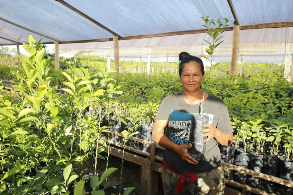Governo do Estado entrega 20,4 mil mudas de citros e café fomentando a expansão agrícola no primeiro trimestre de 2024 4 Sepror citros cafe foto divulgacao 3 1024x682 1