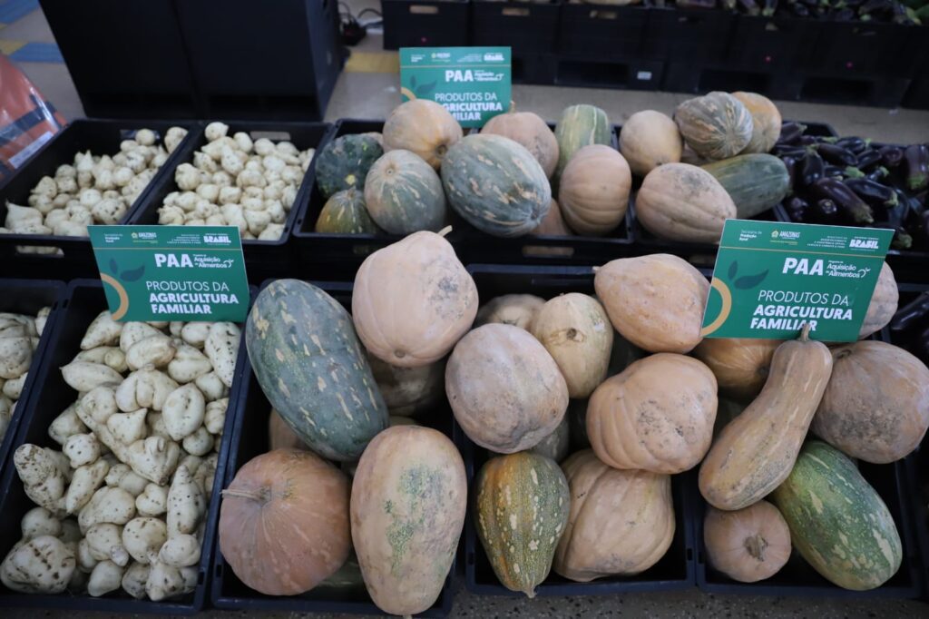 Governo do Amazonas fomenta setor primário com entregas de mudas, aquisição de alimentos e kits de proteção individual ao pescador 7 Sepror Careiro Foto Emerson Martins Sepror 2 1024x682 1