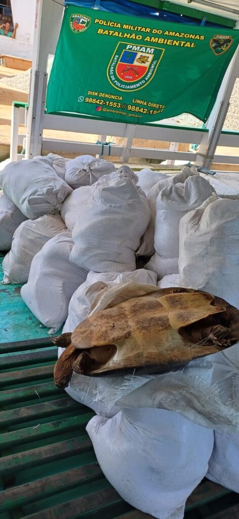Polícia Militar do Amazonas apreende cerca de duas toneladas de pescado ilegal 2 ambiental 1 472x1024 1