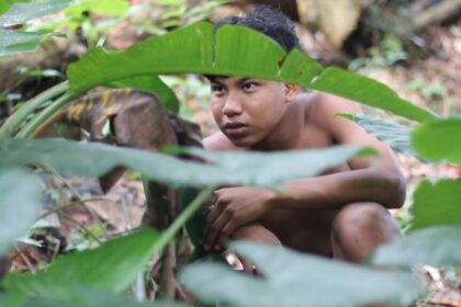 cultura mostra olhar indigena divulgacao 1024x576 1