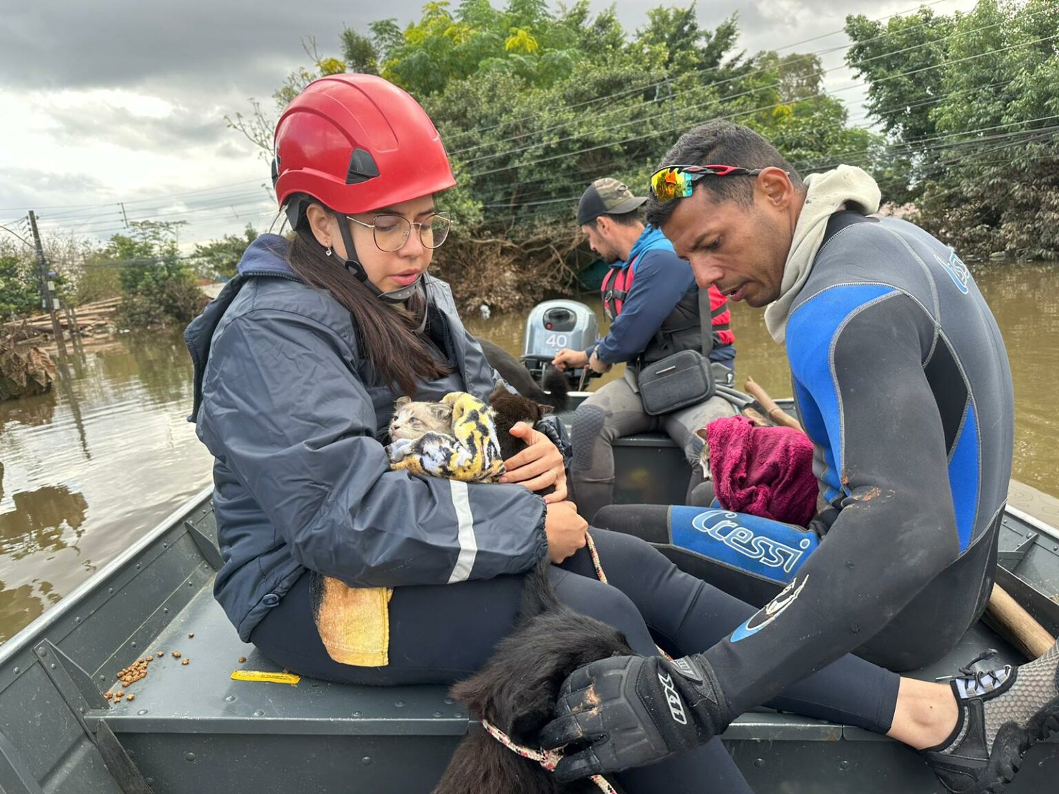Solidariedade amazonense impacta resgate de animais no Rio Grande do Sul 6U2cNn