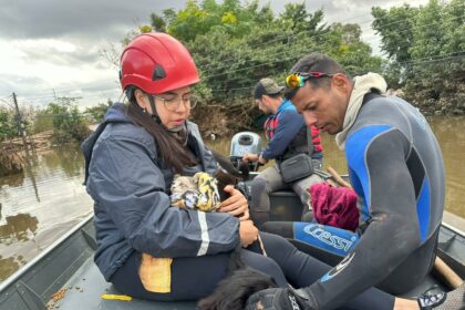 Solidariedade amazonense impacta resgate de animais no Rio Grande do Sul 6U2cNn