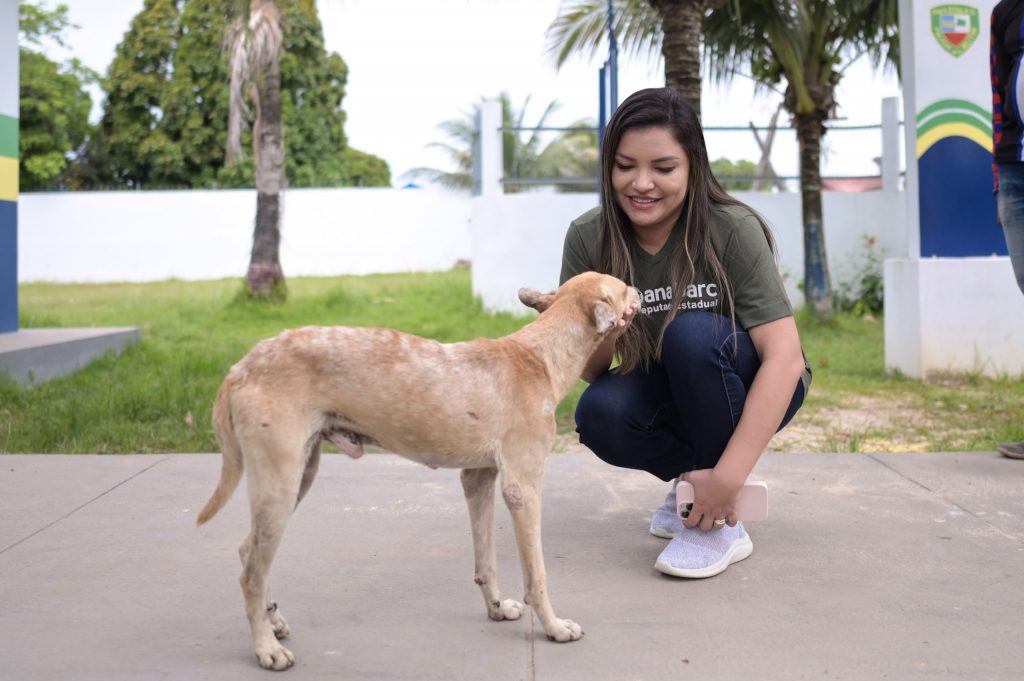 Lei de deputada Joana Darc institui julho como mes dedicado para prevencao de zoonoses no Amazonas 1024x681 HqcIDF
