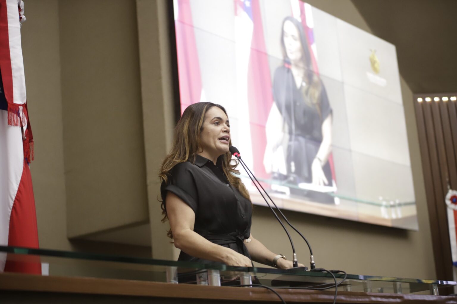 Crise Ambiental e Logistica no Amazonas sao temas de debate na Assembleia Legislativa Foto Danilo Mello BFKEn8