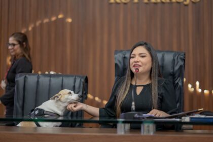 No Dia Mundial do Cachorro deputada Joana Darc faz campanha para adocao de animais sem raca definida e faz alerta contra os maus tratos m1CfXL