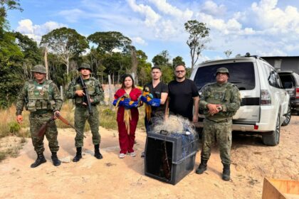 Apos denuncia de deputada Joana Darc sobre trafico de animais silvestres homem e detido e duas araras sao resgatadas no Ramal do Brasileirinho 1024x768 7ullSe