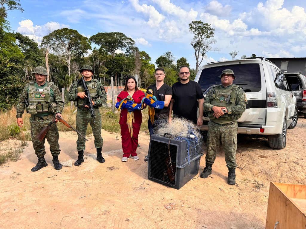 Apos denuncia de deputada Joana Darc sobre trafico de animais silvestres homem e detido e duas araras sao resgatadas no Ramal do Brasileirinho 1024x768 7ullSe