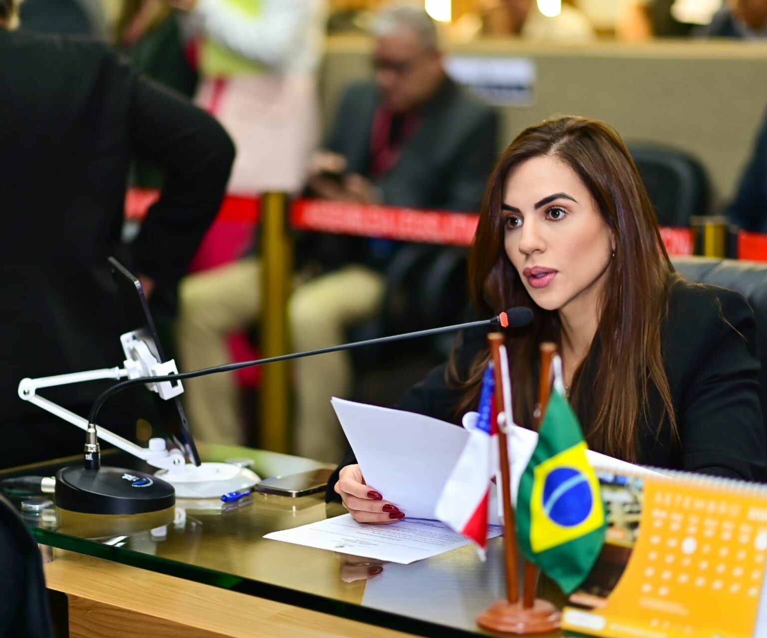 Aprovado PL de Debora Menezes que cria cadastro de pedofilos no Amazonas Foto Daniel Nogueira BiwxRd