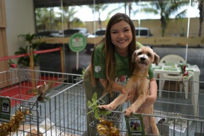 Campanha Dezembro Verde Deputada Joana Darc realiza na Aleam evento de adocao de animais resgatados 1024x683 fVcJzZ