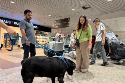 Apos denuncia da deputada Joana Darc familia atipica consegue embarcar em aviao com animais de suporte emocional 1024x768 jhcOKk