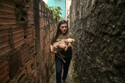 Projeto de Joana Darc quer implementar sistema de multas por maus tratos aos animais vinculados ao CPF JQJKLZ