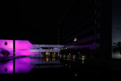 Fevereiro Roxo Conheca as acoes de conscientizacao e leis produzidas pela Aleam sobre o tema Foto Elisa Garcia 3figCU
