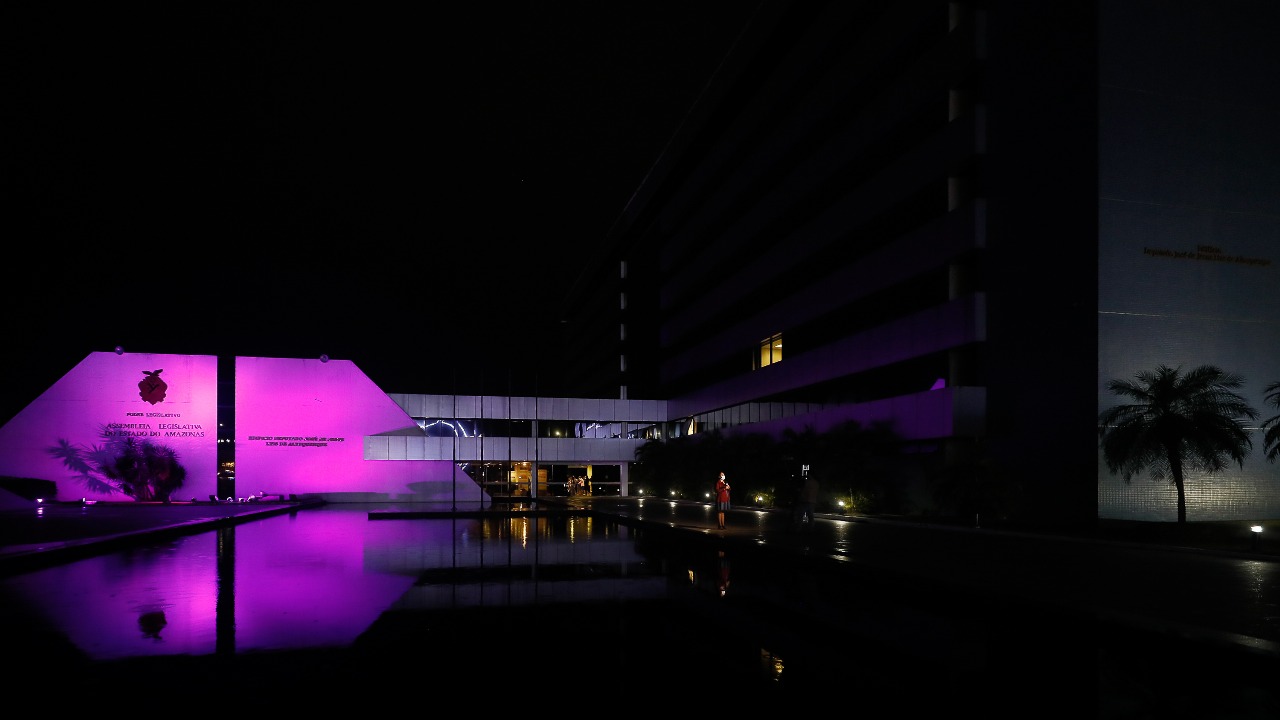 Fevereiro Roxo Conheca as acoes de conscientizacao e leis produzidas pela Aleam sobre o tema Foto Elisa Garcia 3figCU
