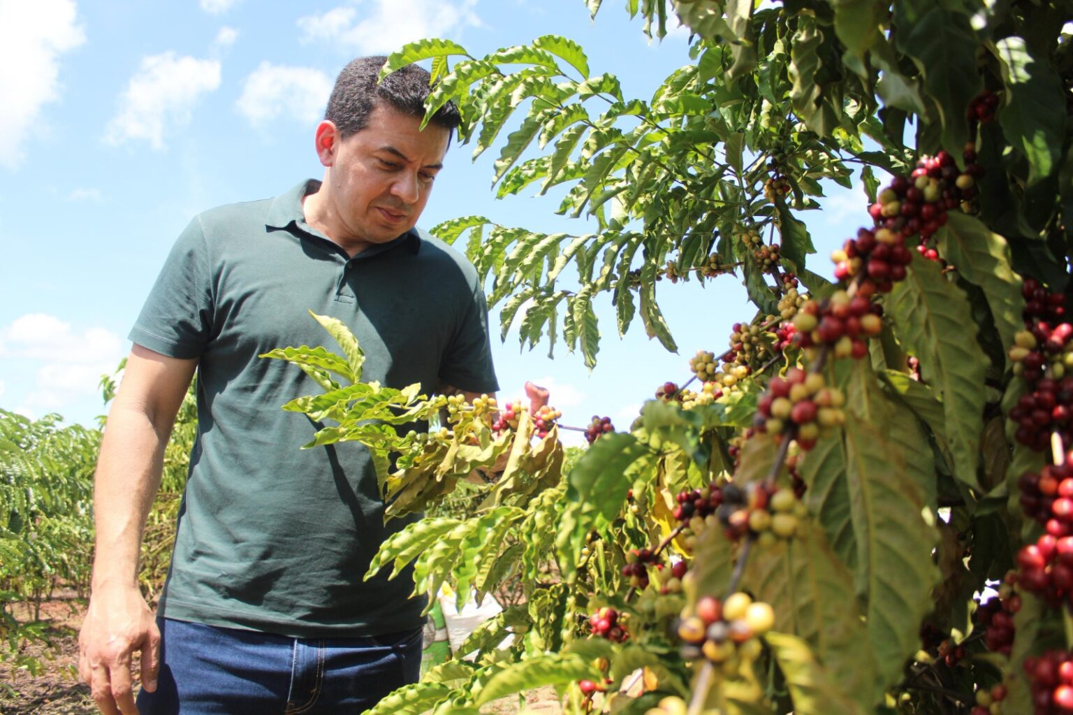 Investimentos de Delegado Pericles na producao de cafe no Distrito de Realidade sao reconhecidos por agricultores de Humaita Foto Marcio James pT1aZK