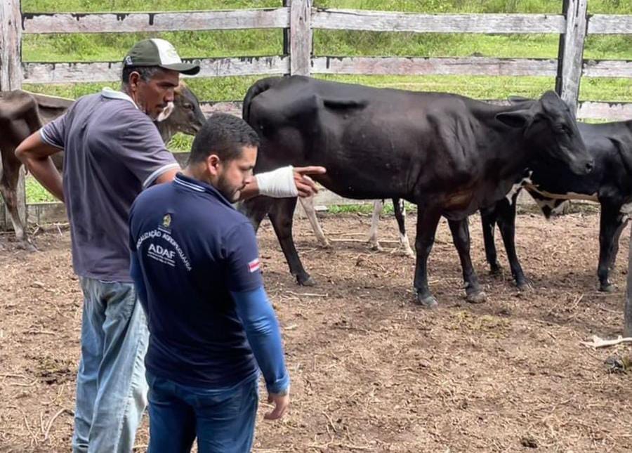 Adaf vai visitar 419 propriedades pelo Programa de Vigilância Baseada em Risco para Febre Aftosa 5 ADAF02 PVBR VISITAPROPRIEDADE