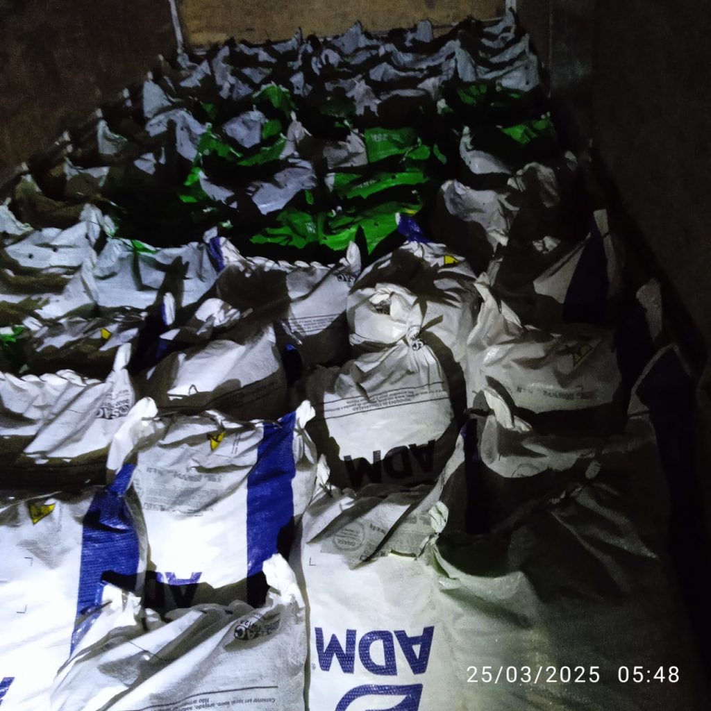 Mosca-da-carambola: Adaf apreende mais de uma tonelada de pimenta-de-cheiro em barreira de vigilância 2 ADAF2 APREENSAOPIMENTADECHEIRO 1024x1024 1