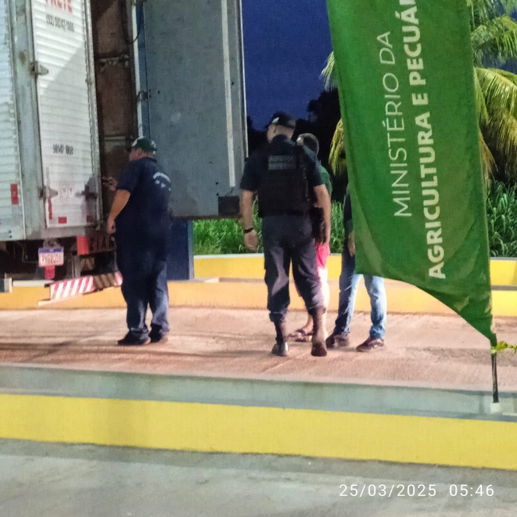 Mosca-da-carambola: Adaf apreende mais de uma tonelada de pimenta-de-cheiro em barreira de vigilância 5 ADAF3 APREENSAOPIMENTADECHEIRO 1024x1024 1