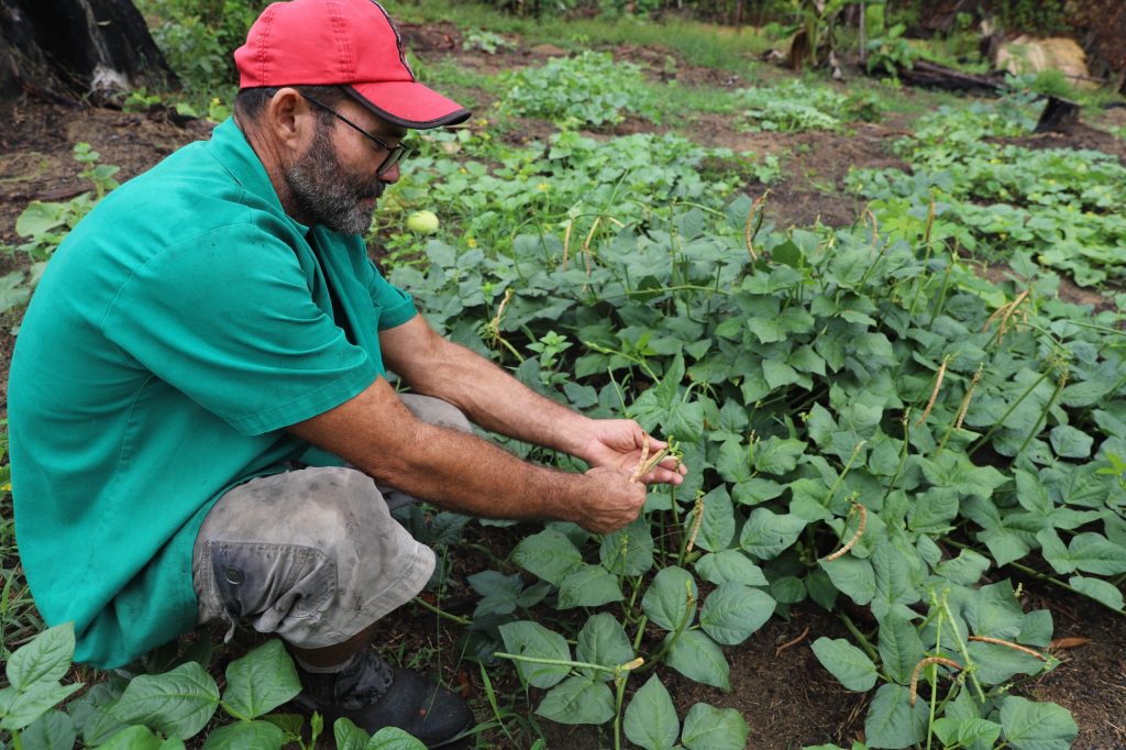 Pagamento do Garantia Safra para 375 agricultores familiares de Guajará e Envira iniciou nesta terça-feira (18/03) 3 Garantia Safra Sepror foto Isaac Maia 1 1024x682 1