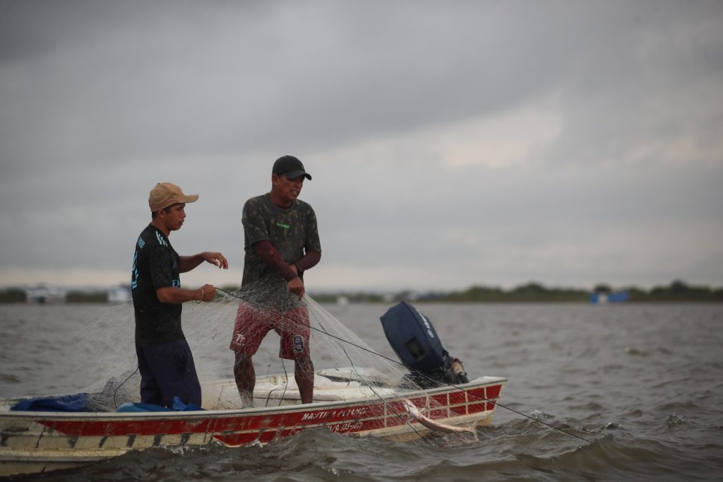 Idam alerta para o fim do período de defeso de oito espécies de peixes no Amazonas 2 Idam Fim do periodo de defeso de 8 especies Idam Arquivo 1024x682 1