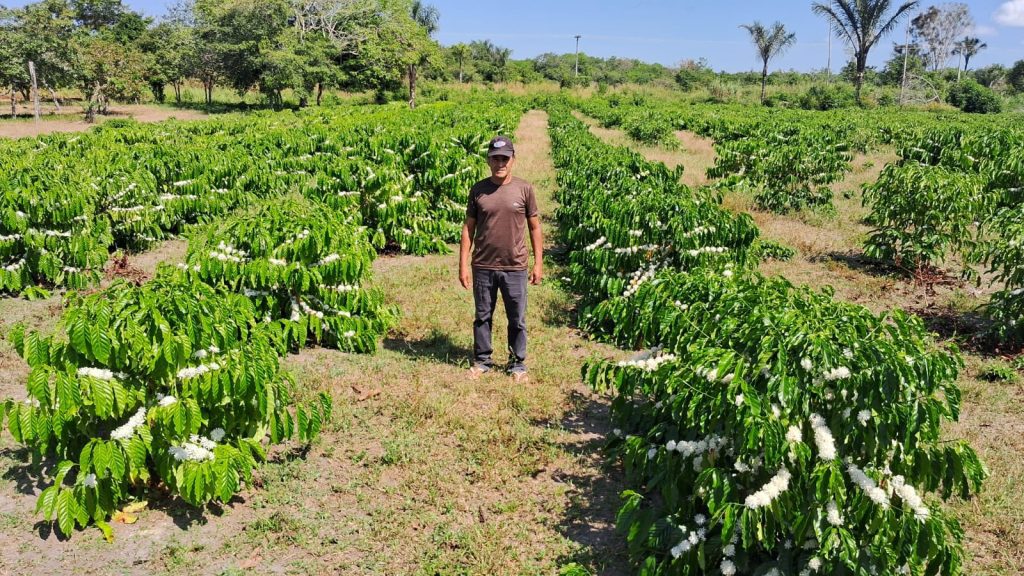 Idam está com as inscrições abertas para o “Dia do Campo do Café” 2 Idam Inscricoes abertas para dia de campo do cafe em Sao Sebastiao do Uatuma Fotos divulgacao 1 1024x576 1