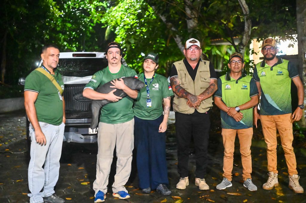 Ipaam e Semadetur encaminham filhote de peixe-boi resgatado em Nova Olinda do Norte para o Inpa 2 Ipaam Equipe Ipaam e Semadetur Foto 5 24 03 2025 1024x681 1