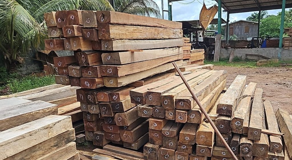 Ipaam e BPAmb fazem nova fiscalização no Ramal Santo Antônio, apreendem madeira ilegal e doam material 3 Madeiras apreendidas pelo Ipaam Foto 1 28 03 2025 1024x561 1