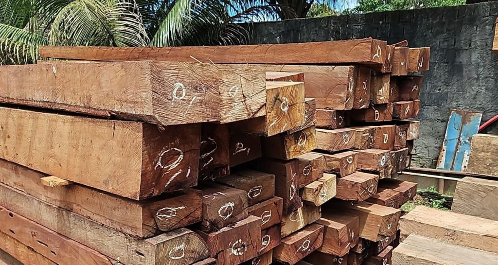 Ipaam e BPAmb fazem nova fiscalização no Ramal Santo Antônio, apreendem madeira ilegal e doam material 5 Madeiras apreendidas pelo Ipaam Foto 3 28 03 2025 1024x545 1