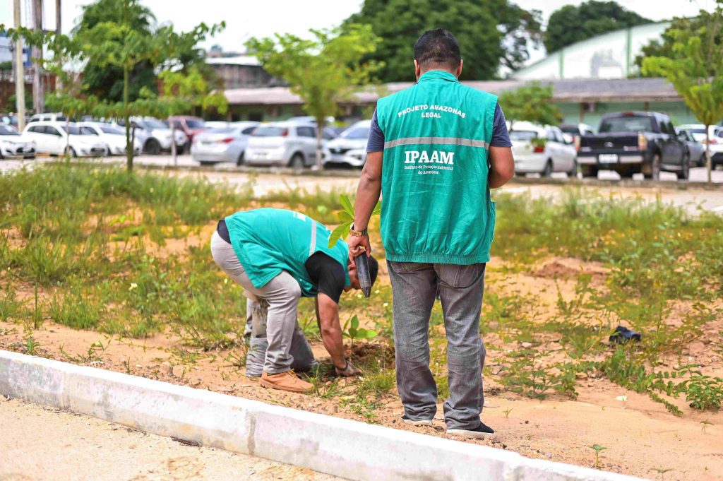 Servidores do Ipaam fazem o plantio de 150 mudas frutíferas e ornamentais em ação de preservação ambiental 5 Servidores do Ipaam durante plantio de mudas Foto 4 19 03 2025 1024x681 1