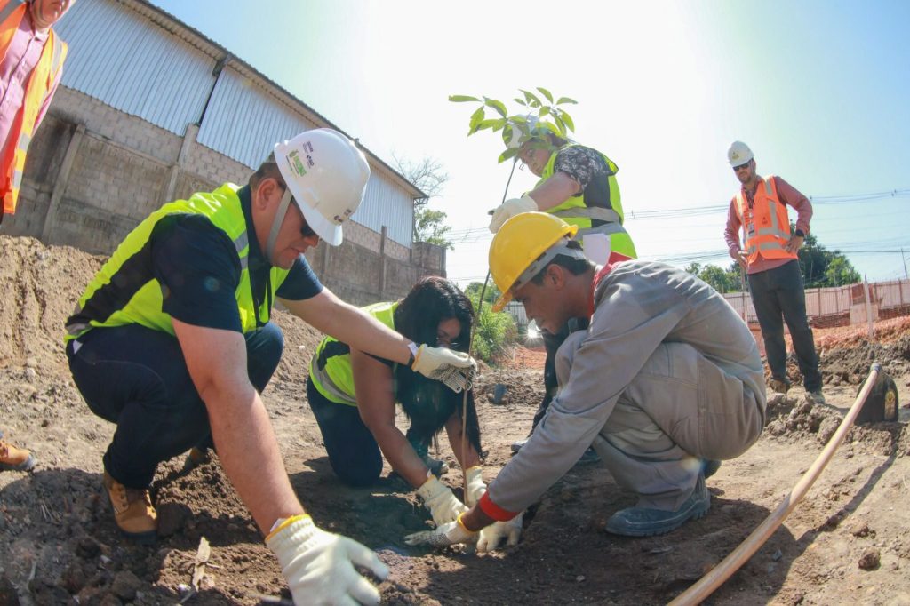 Dia Internacional das Florestas: Governo do Amazonas reforça o compromisso ambiental com as ações do Prosamin+ e Prosai 2 UGPE PLANTIO PROSAMIN FOTO TIAGO CORREA UGPE 1 1024x682 1
