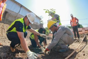 UGPE PLANTIO PROSAMIN FOTO TIAGO CORREA UGPE 1 300x200 1