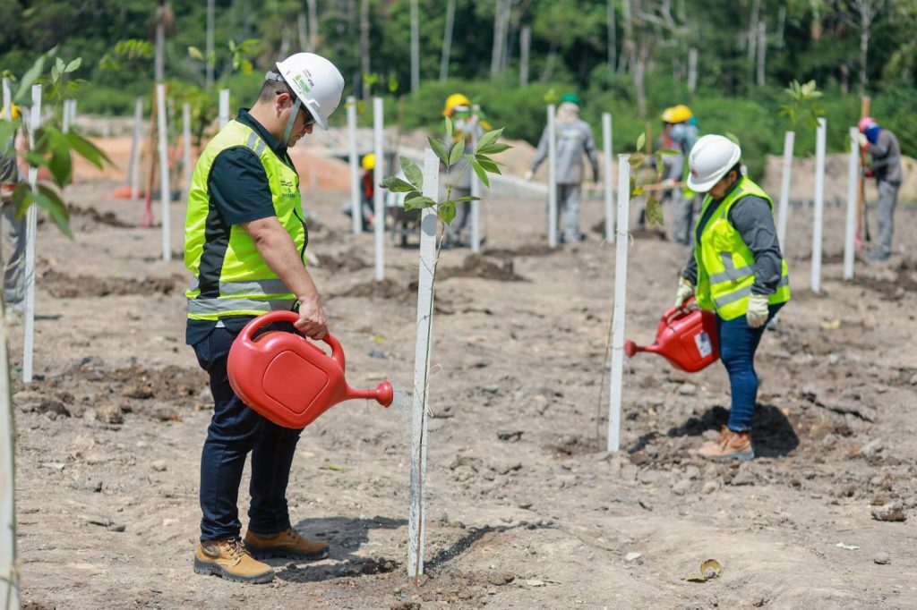 Dia Internacional das Florestas: Governo do Amazonas reforça o compromisso ambiental com as ações do Prosamin+ e Prosai 3 UGPE PLANTIO PROSAMIN FOTO TIAGO CORREA UGPE 2 1024x682 1