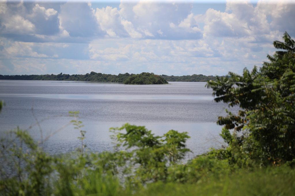 Governo do Amazonas apoia pesquisa sobre diversidades de peixes no baixo Rio Negro 2 WhatsApp Image 2025 03 24 at 11.55.11 3 1024x682 1