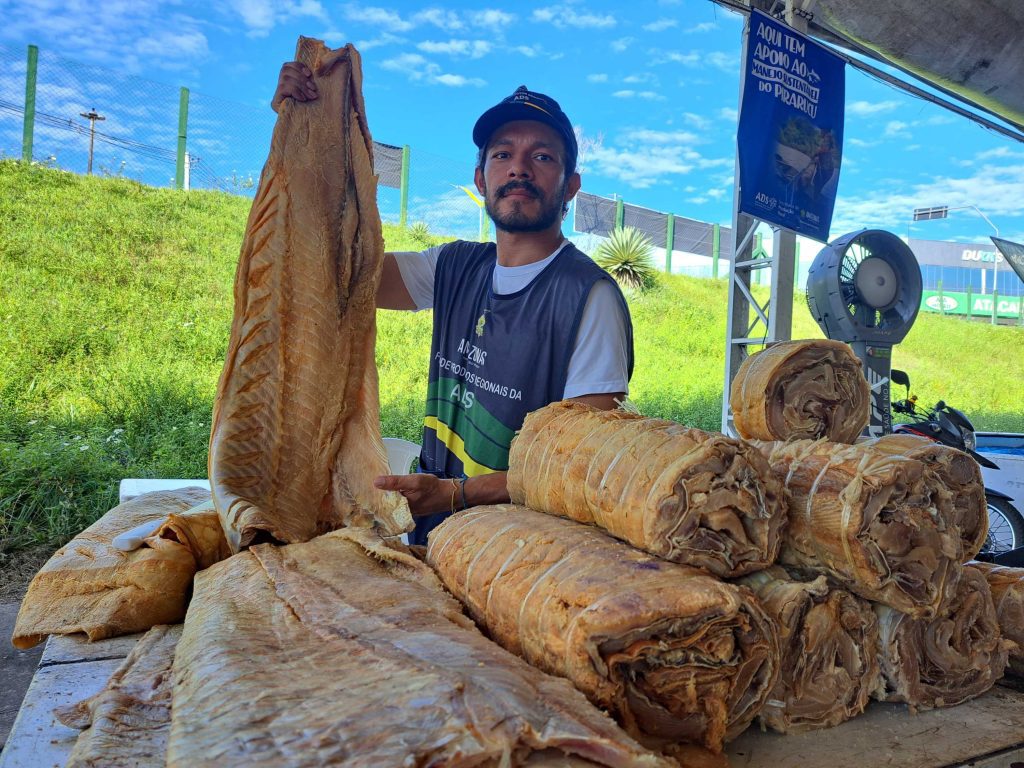 Feirão do Pescado da ADS: mais de 8 toneladas de peixe são comercializadas no primeiro dia da ação 5 1 dia do Feirao do Pescado Foto Aline Martines 2 1 1024x768 1
