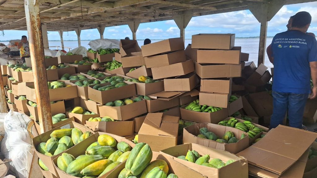 Operação Cheia 2025: Governo do Amazonas adquire 25 toneladas de alimentos em Manacapuru 2 Foto Divulgacao Seprpr Compra de Alimentos via PAA em Manacapuru 3 1024x576 1