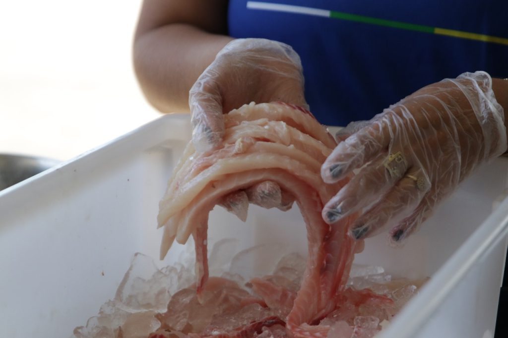 Governo do Amazonas promove reaproveitamento de aparas e espinhas de peixe para produção de novos alimentos 3 Governo do Amazonas promove reaproveitamento de aparas e espinhas de peixe para producao de novos alimentos 1 Foto Arthur Castro Secom 1024x682 1