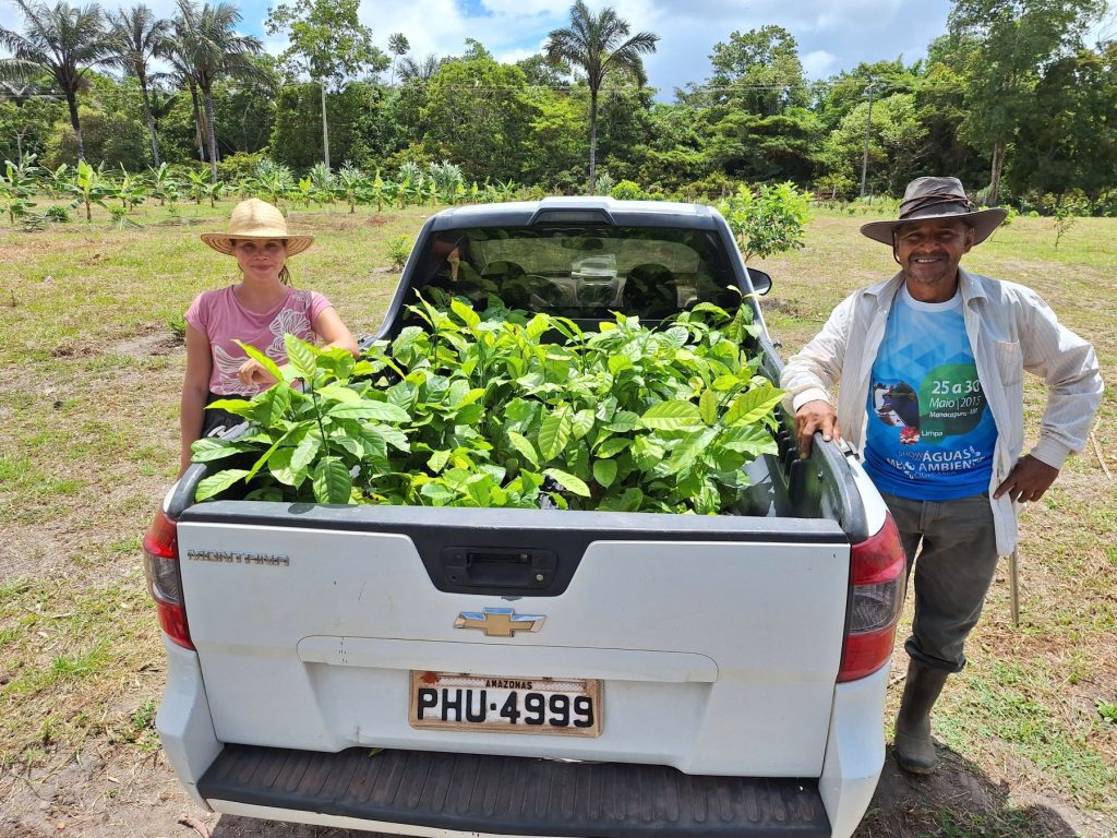 Produção de café no Amazonas deve atingir a marca de 2,2 mil toneladas em 2025, segundo o Idam 3 Idam Crescimento da producao cafeeira no Amazonas Divulgacao 1 1024x768 1