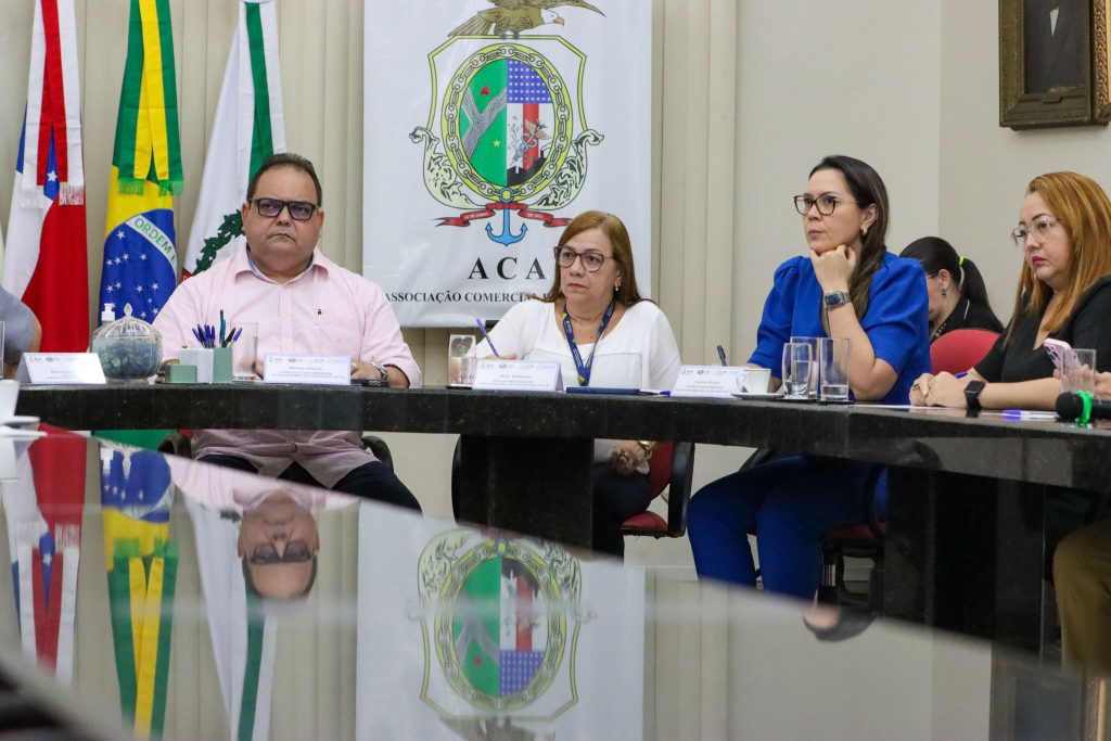 Reunião da Câmara Setorial do Comércio e Serviços discute medidas para melhorar o comércio local 2 SEDECTI CamaraSetorialComercioeServicos BrunoLeao 1 1024x683 1