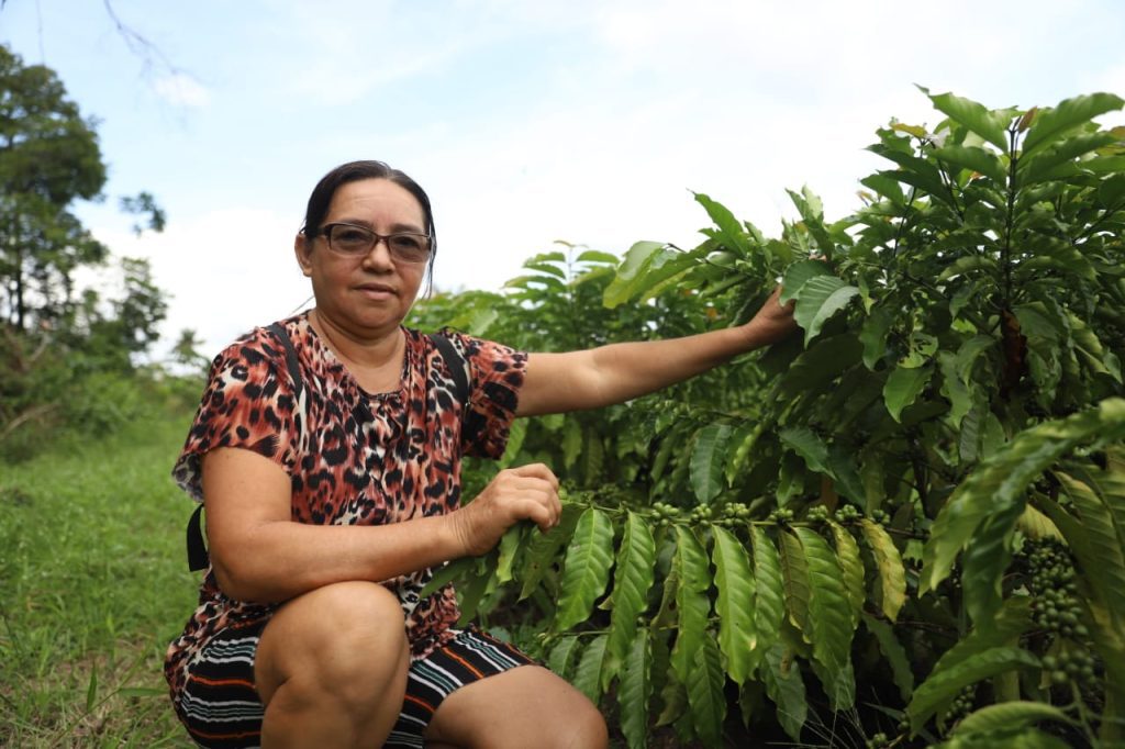 Dia Mundial do Café: Sepror potencializa o setor da cafeicultura com entregas de mudas a produtores rurais 3 Sepror 3 Cafe produtora rural Juliane Monteiro foto Emerson Martins Sepror 1024x682 1