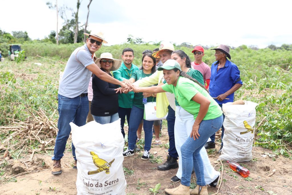 Governo do Estado apoia parceria entre agricultores e agroindústria para produção de farinha de mandioca 2 Sepror Mandioca foto Isaac Maia 2 1024x683 1